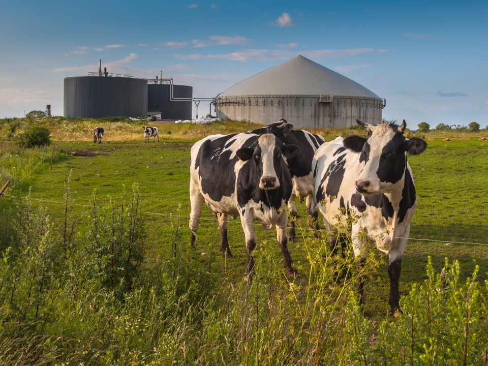 Digestate, Biogas