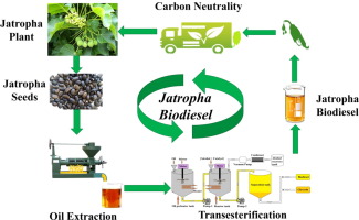 Biofuel