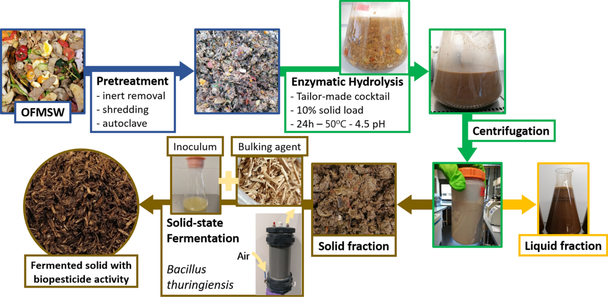  - Solid State Fermentation