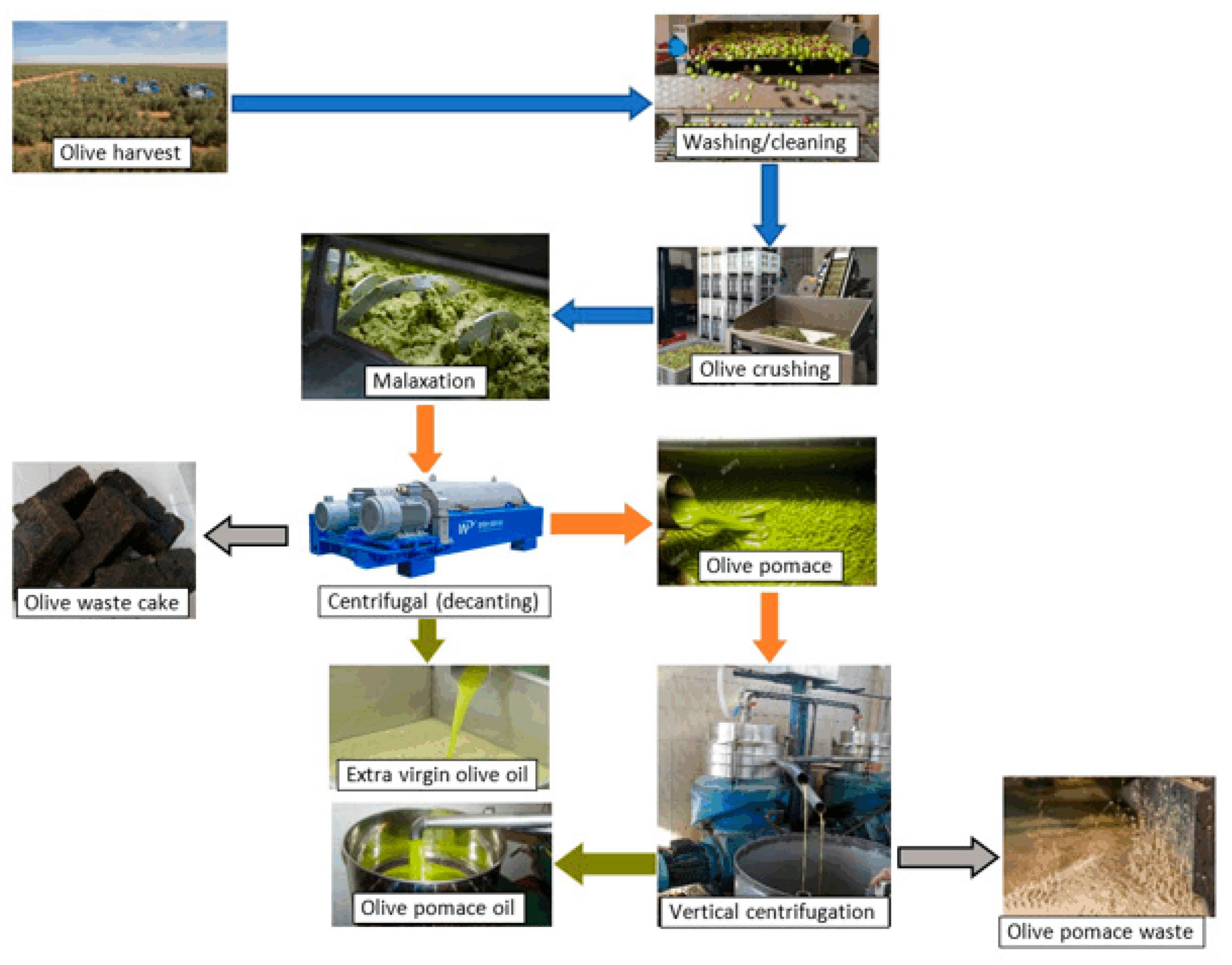 Bioenergy