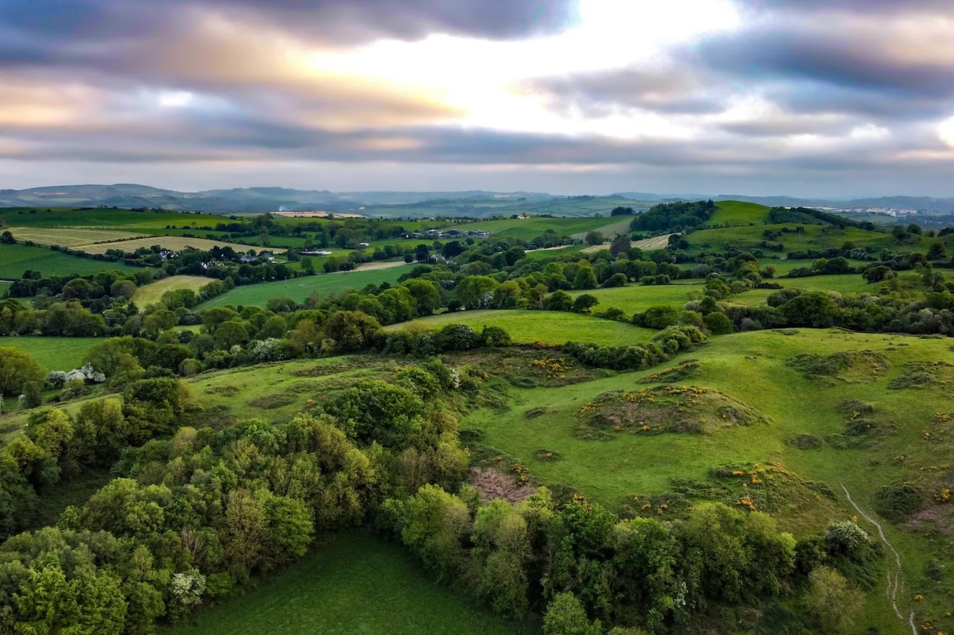  - Biomass Model Tool Irland (SouthEast)