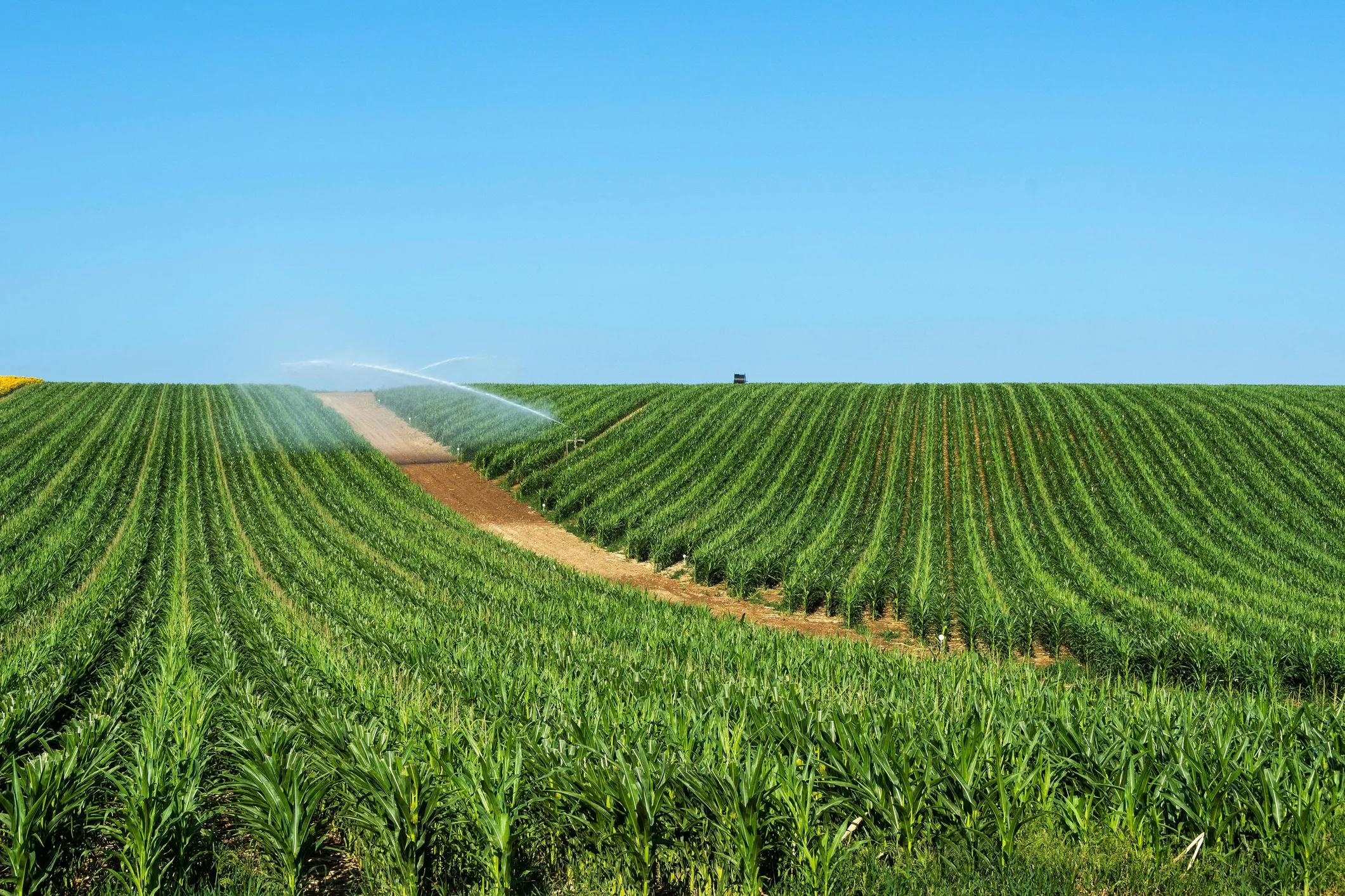  - Biomass Model Tool Auvergne-Rhône-Alpes